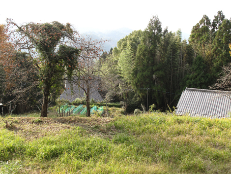 20131124hike (437)